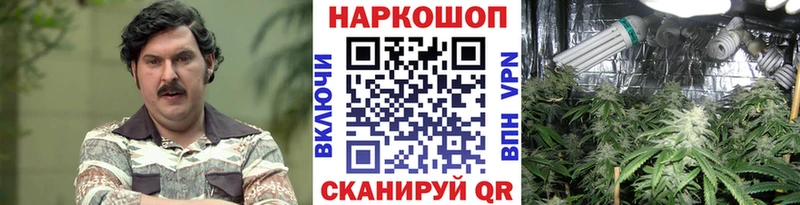 Купить закладку АМФ  Псилоцибиновые грибы  APVP  БУТИРАТ  Меф мяу мяу  Тарко-Сале