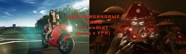 мдма Лагань