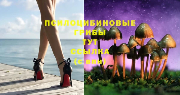 мдма Лагань