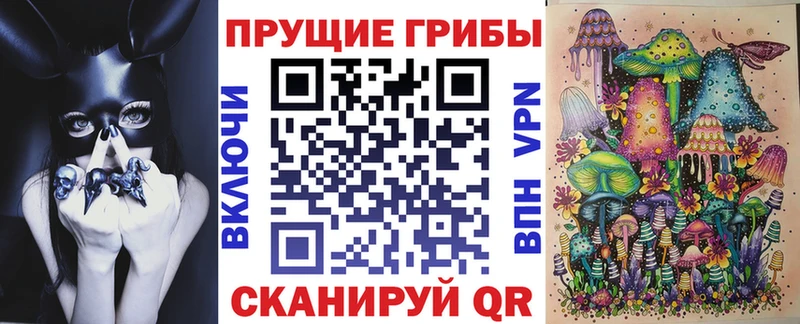 Псилоцибиновые грибы Cubensis  Купить где  Тарко-Сале 